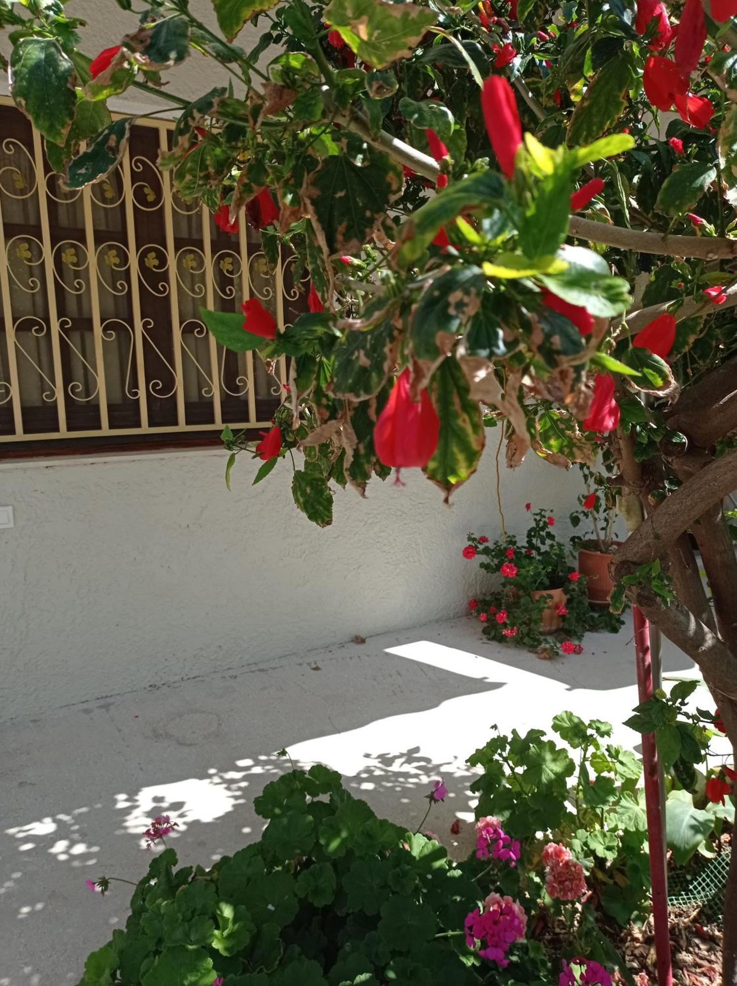 Tasos Seagull apartments La Canea Exterior foto